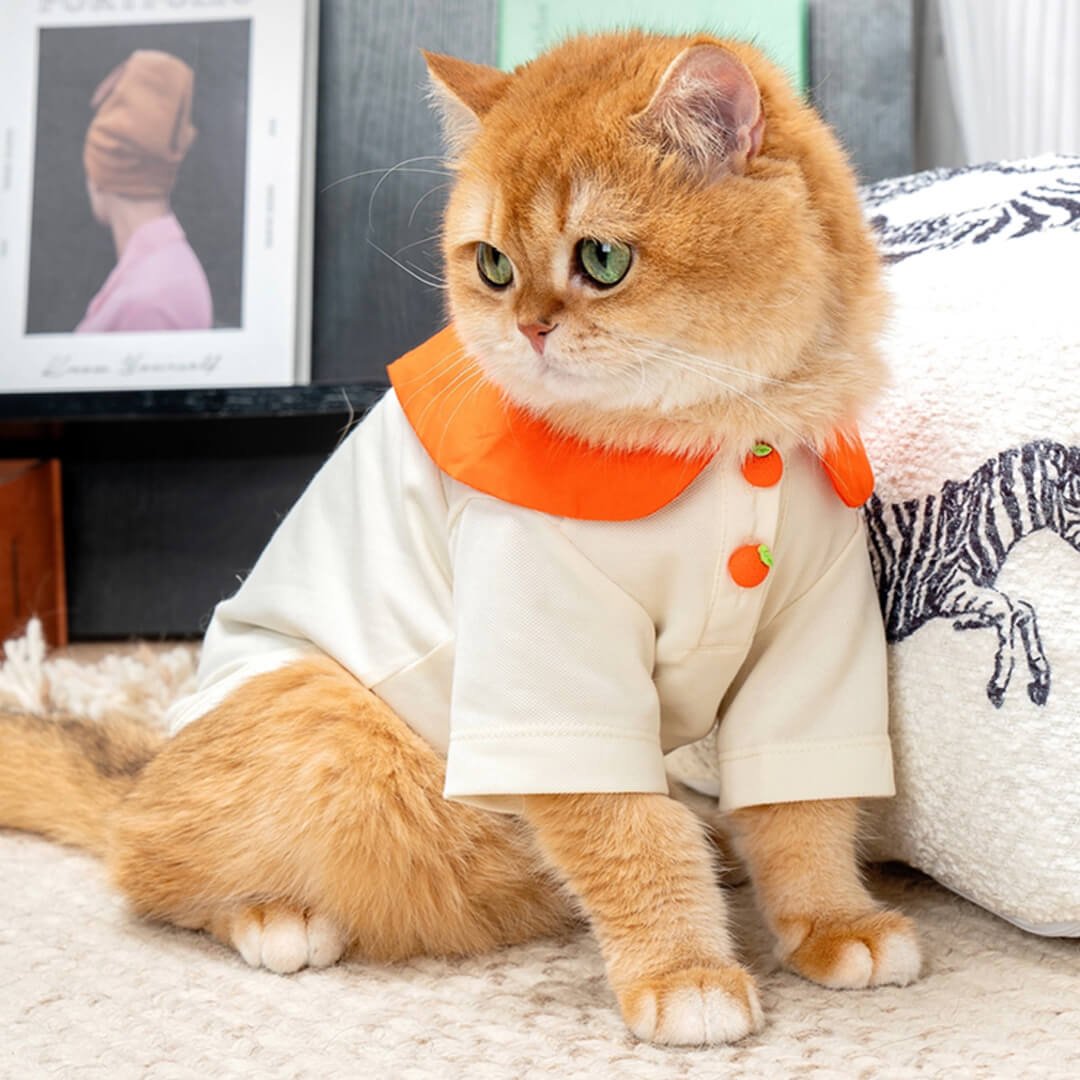 Poppy Cat Shirt - Image 7