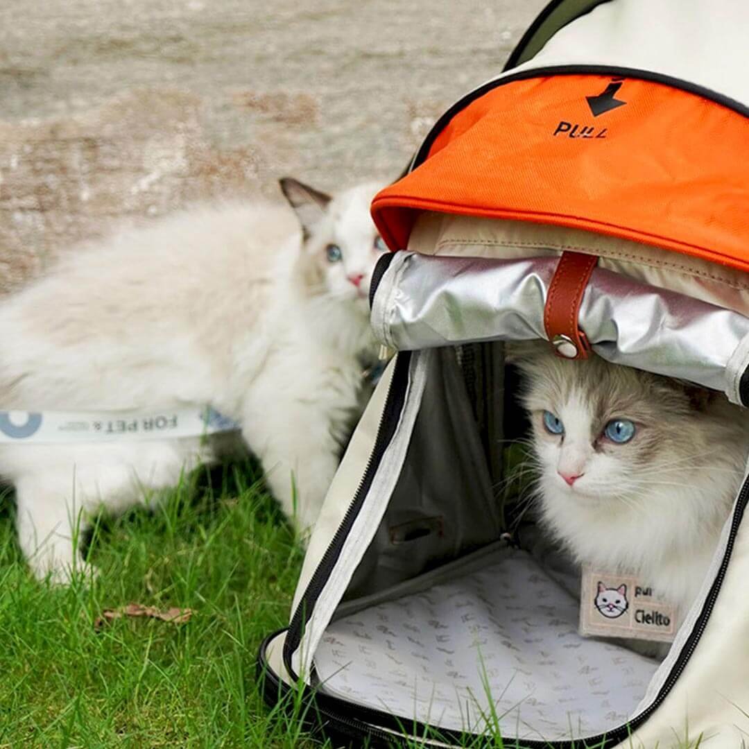 Purrpy Tent Expandable Cat Backpack - Image 3