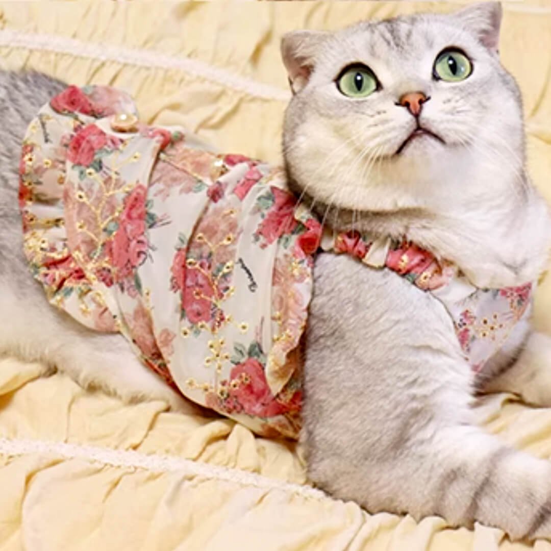 Flora Cat Dress - Image 8