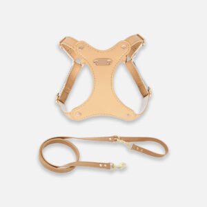 Rio Cat Harness & Leash Set