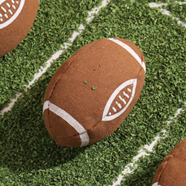 Rugby Catnip Toy - Image 3