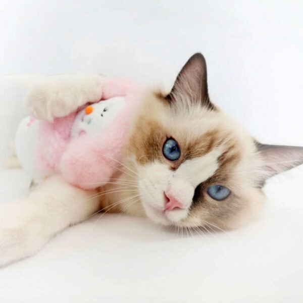 Snowman Catnip Toy - Image 2
