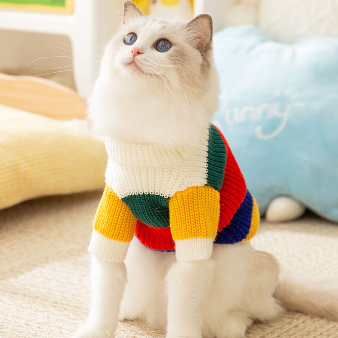 Sunny Cat Sweater - Image 2