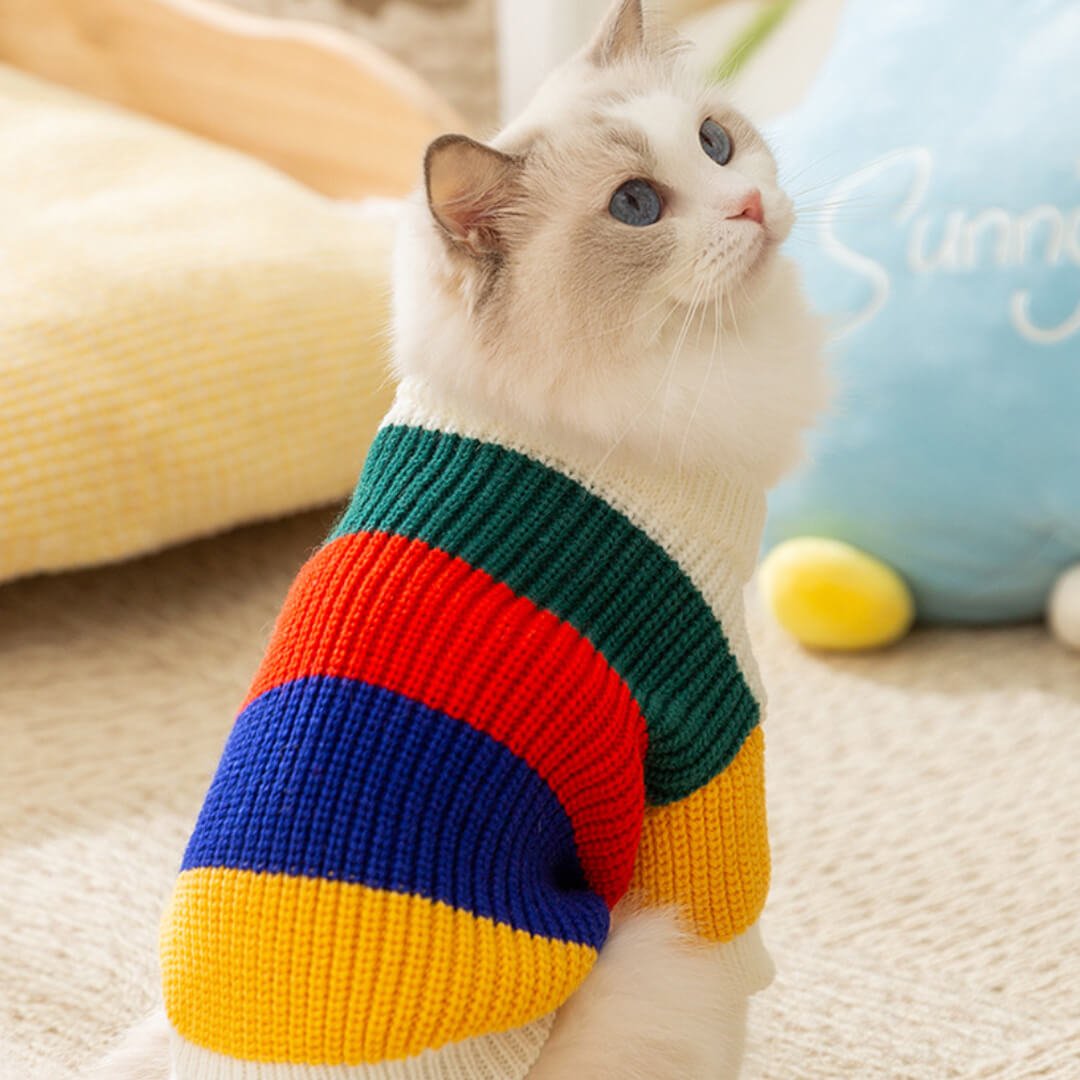 Sunny Cat Sweater - Image 3