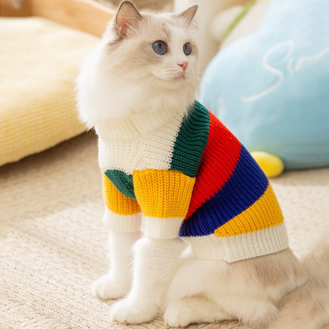 Sunny Cat Sweater - Image 9