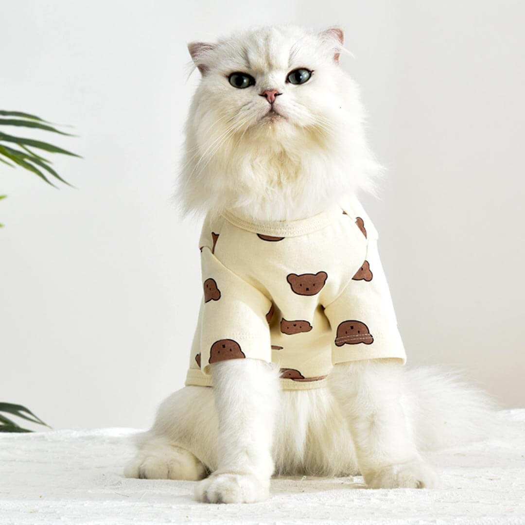 Teddy Cat T-Shirt - Image 10