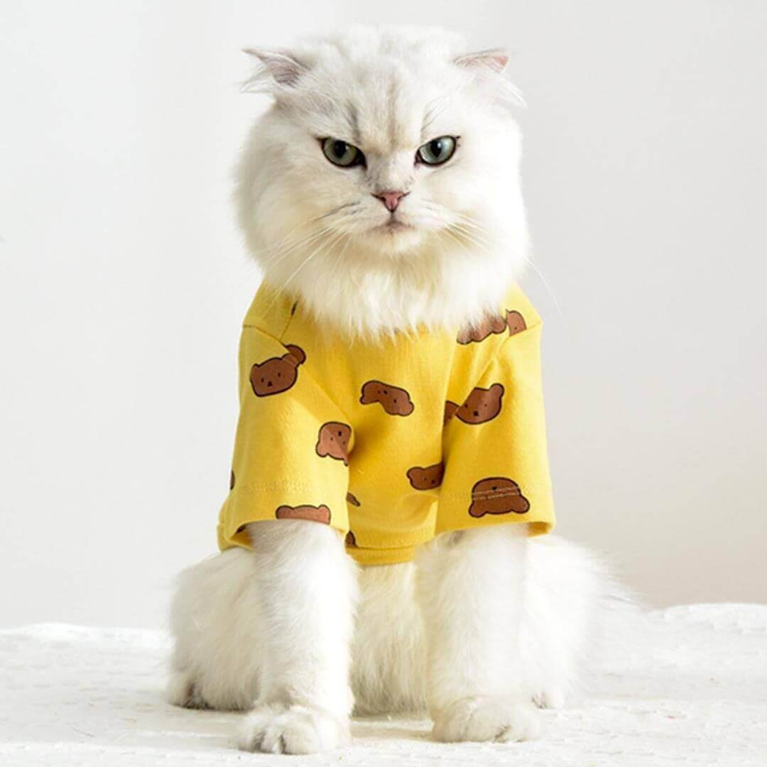 Teddy Cat T-Shirt - Image 14