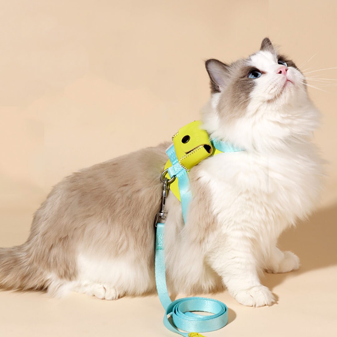 TouchCat Explorer Cat Harness & Leash Set - Image 3