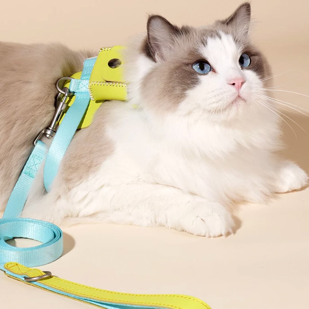 TouchCat Explorer Cat Harness & Leash Set - Image 5
