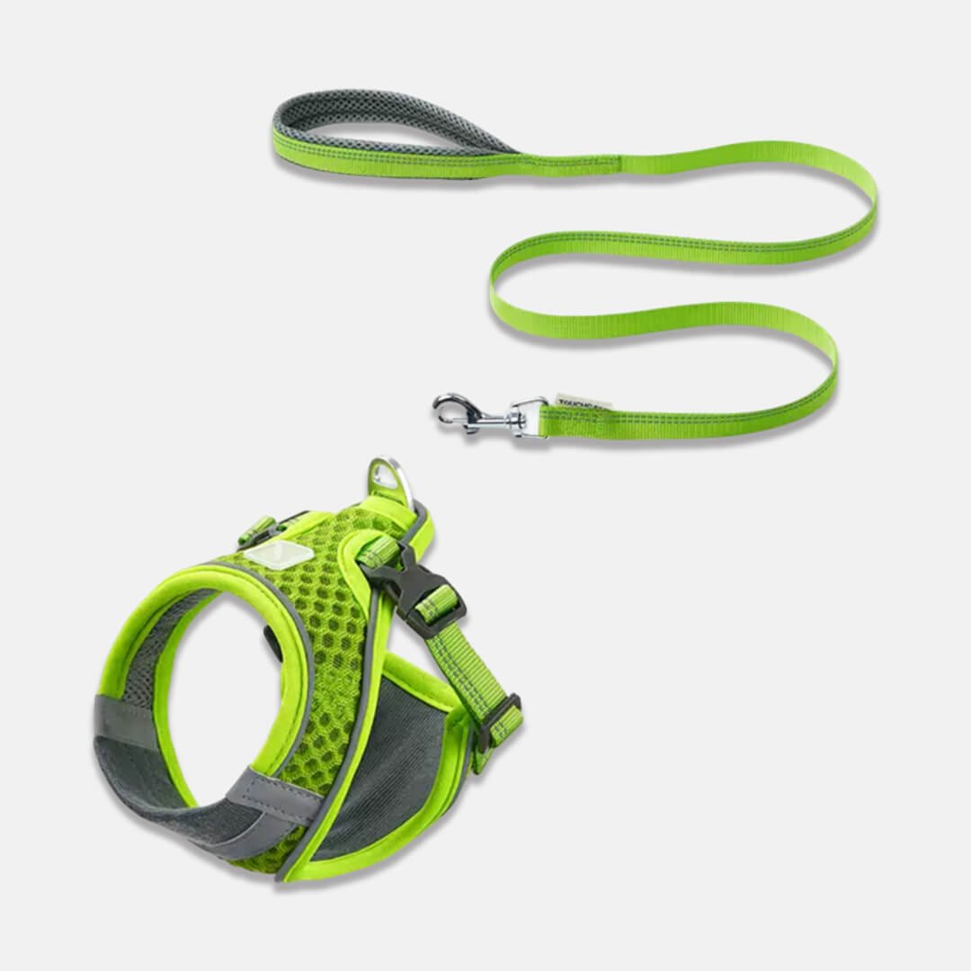TouchCat Voyager Cat Harness & Leash Set - Image 3