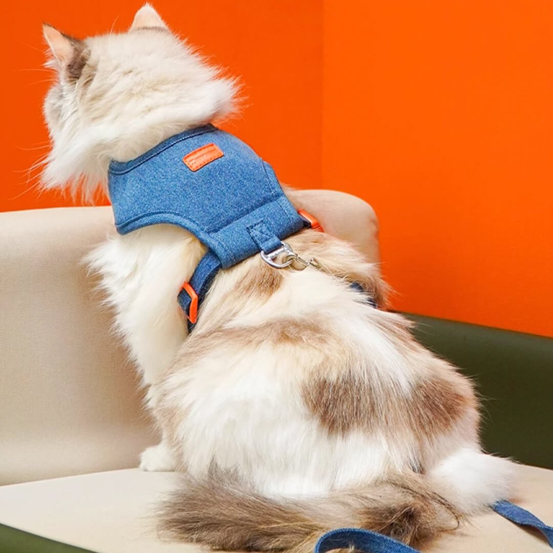 TouchCat Indigo Cat Harness & Leash Set - Image 3