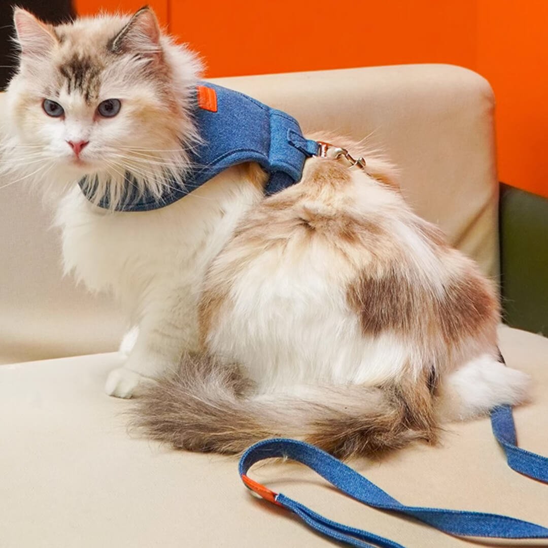 TouchCat Indigo Cat Harness & Leash Set - Image 2