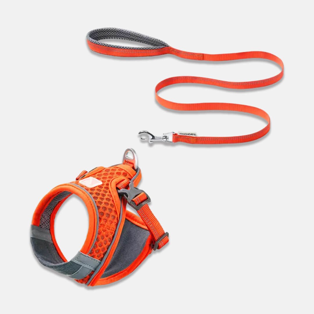 TouchCat Voyager Cat Harness & Leash Set - Image 4