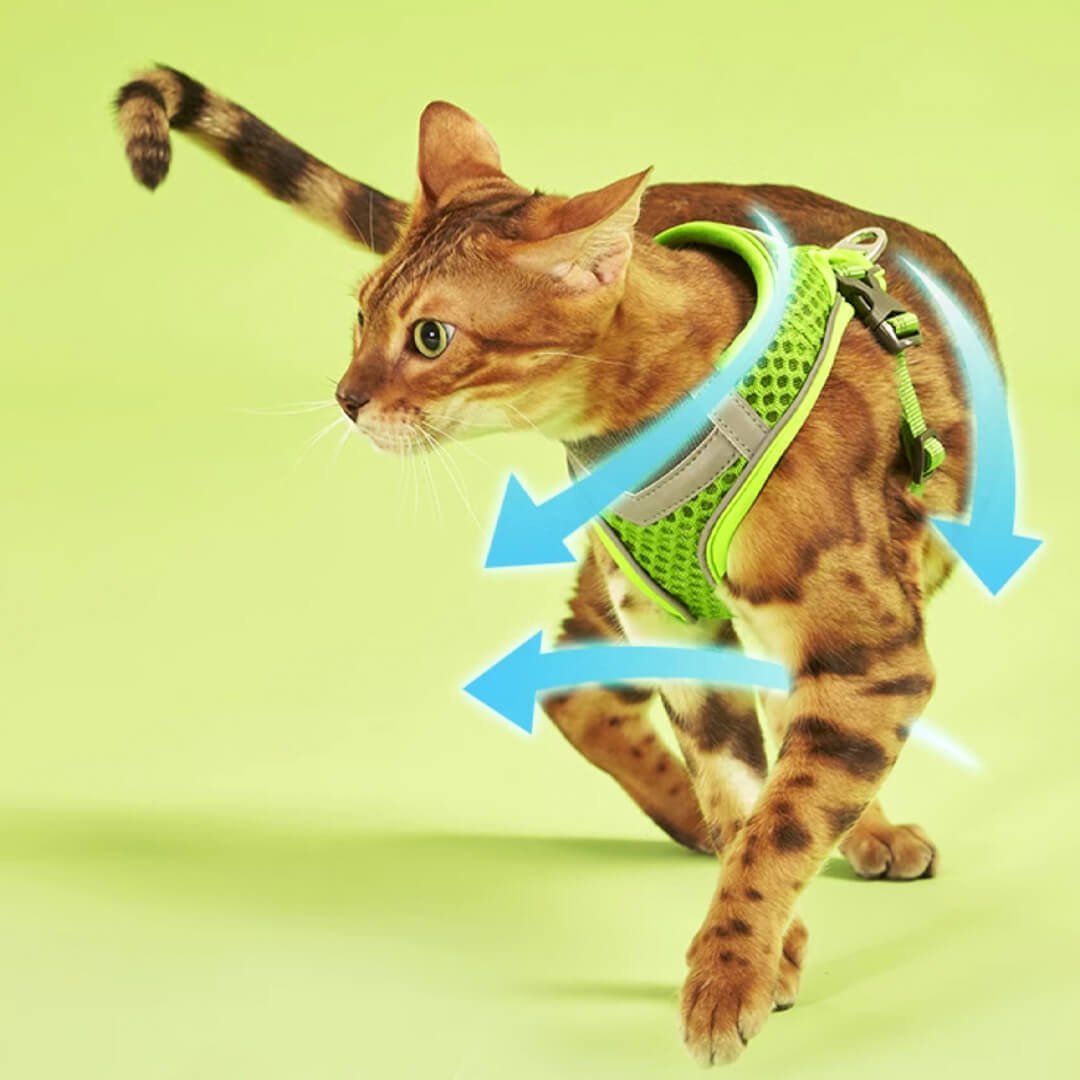 TouchCat Voyager Cat Harness & Leash Set - Image 7