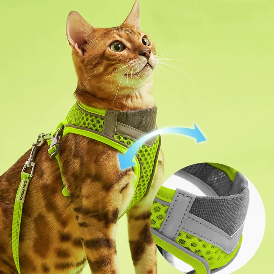 TouchCat Voyager Cat Harness & Leash Set - Image 6