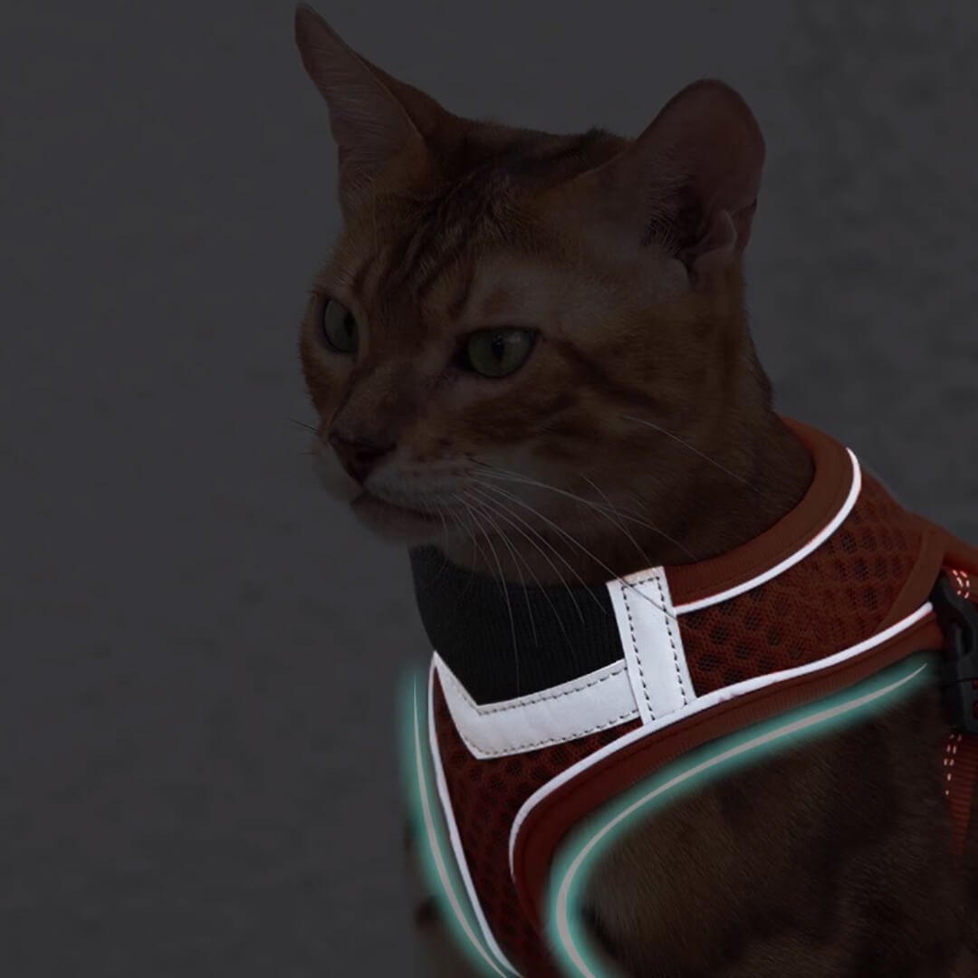 TouchCat Voyager Cat Harness & Leash Set - Image 9