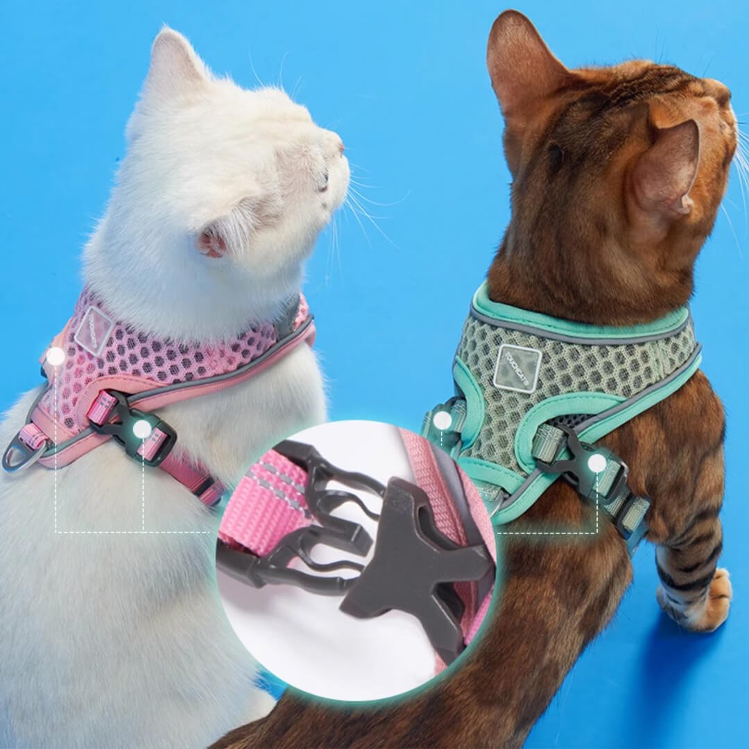 TouchCat Voyager Cat Harness & Leash Set - Image 10