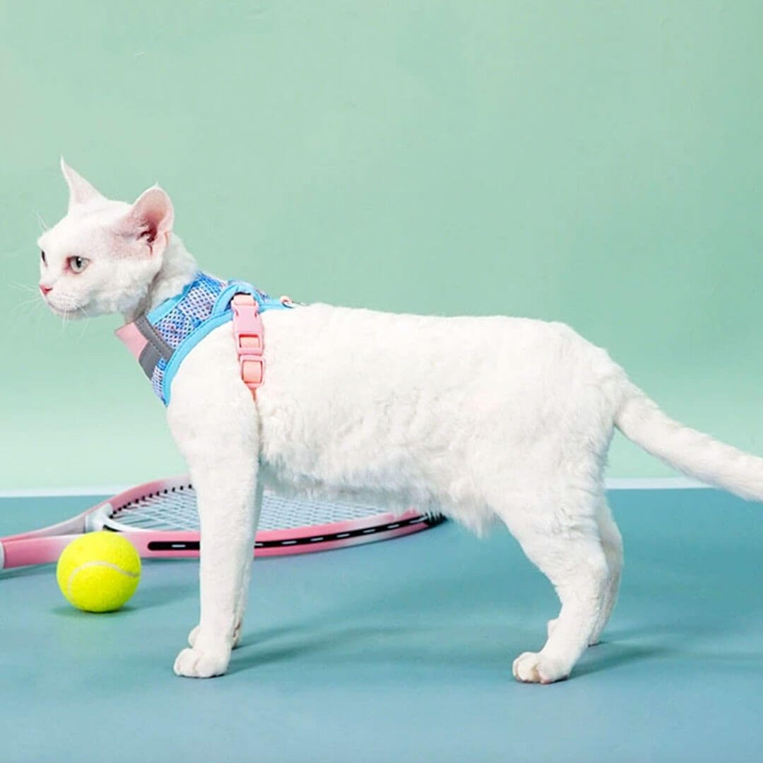 TouchDog Breeze Cat Harness & Leash Set - Image 3