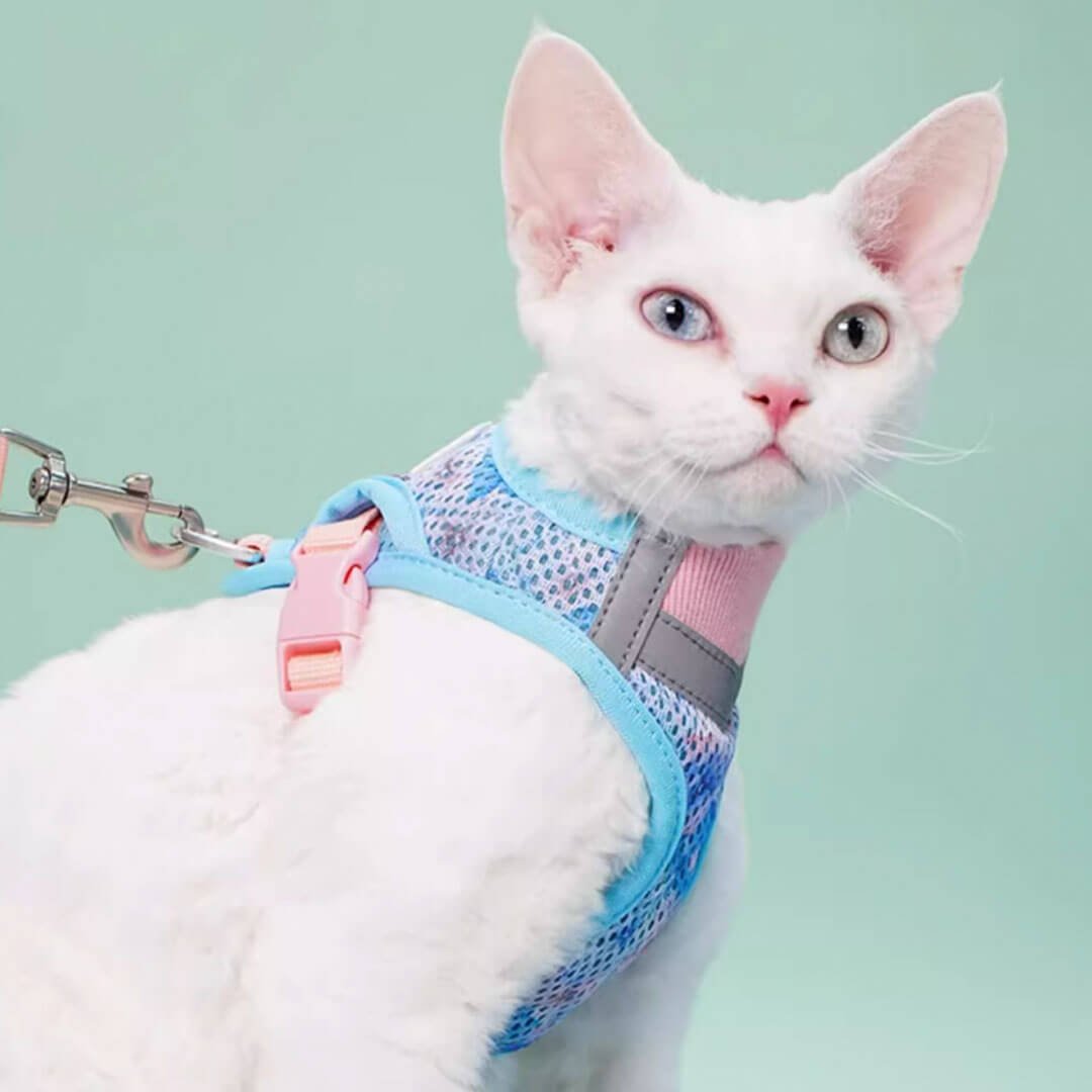 TouchDog Breeze Cat Harness & Leash Set - Image 7