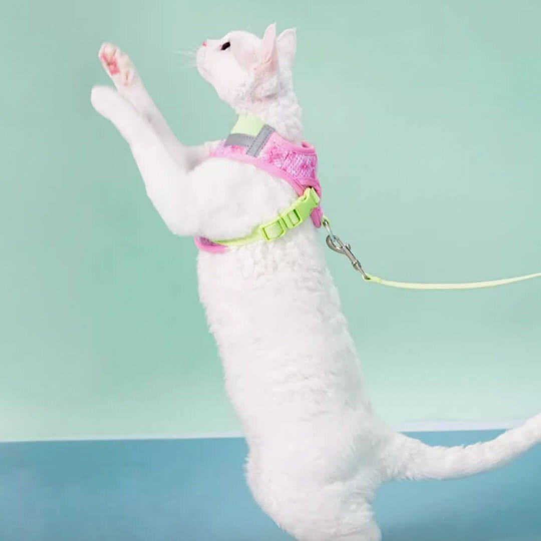 TouchDog Breeze Cat Harness & Leash Set - Image 6