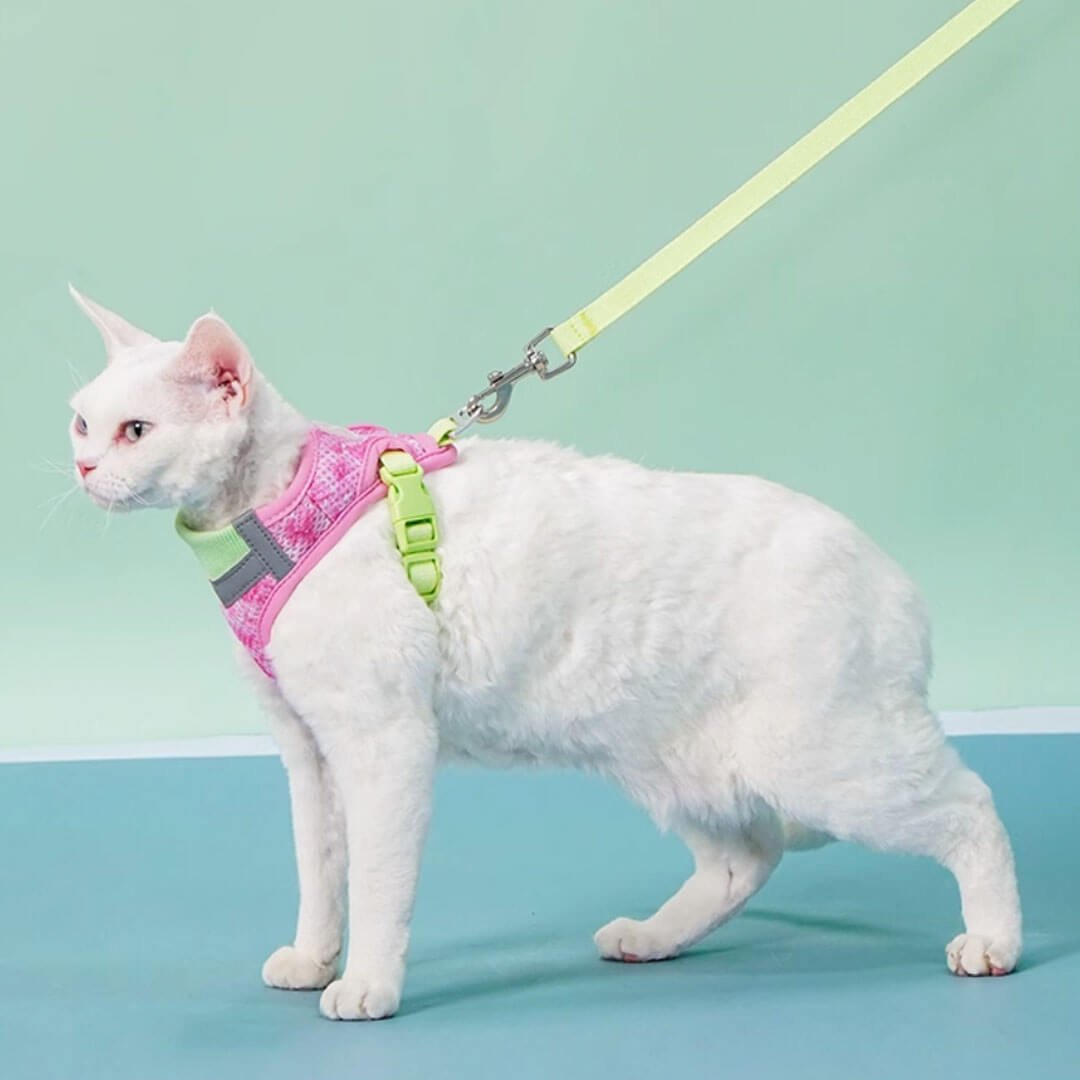TouchDog Breeze Cat Harness & Leash Set - Image 4