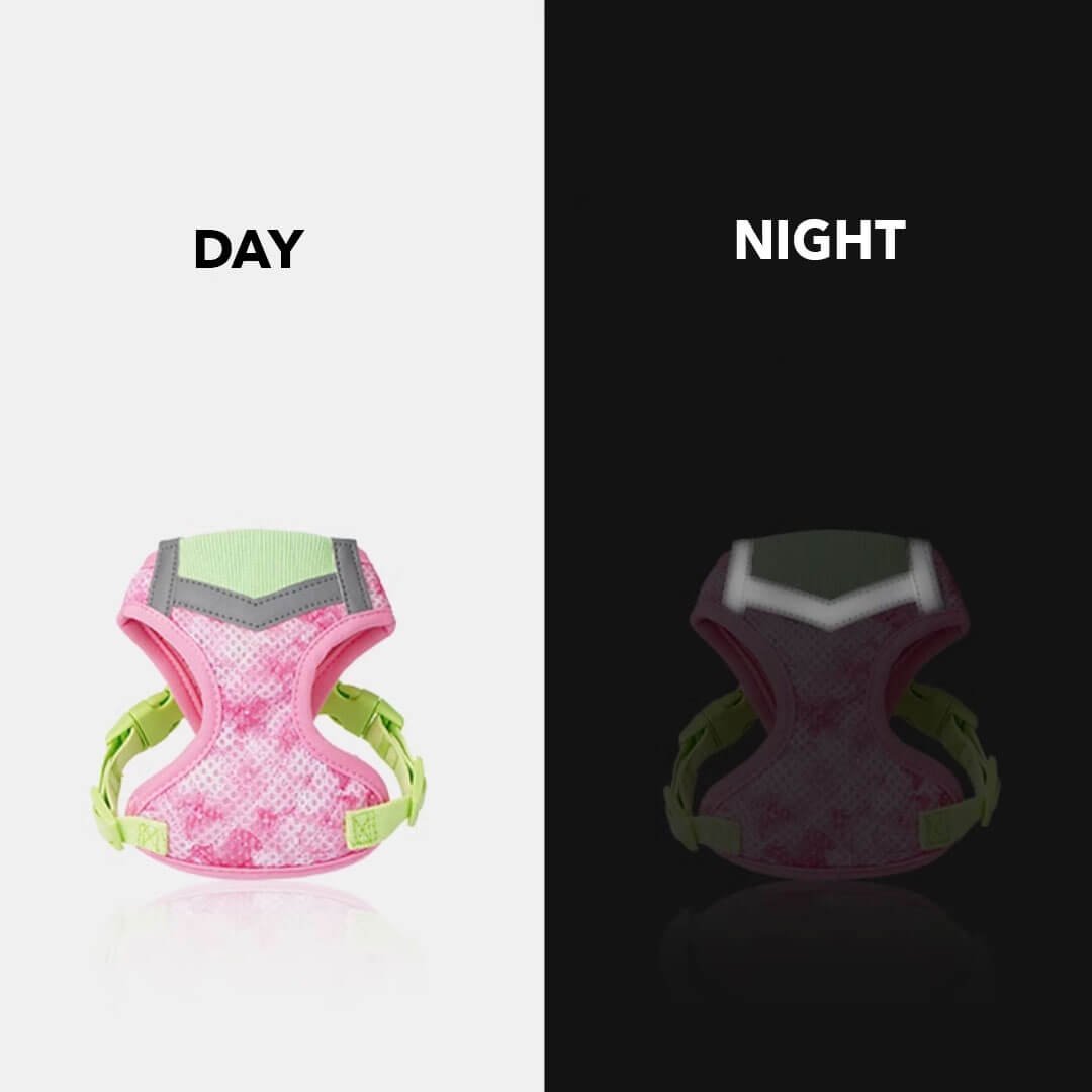 TouchDog Breeze Cat Harness & Leash Set - Image 10