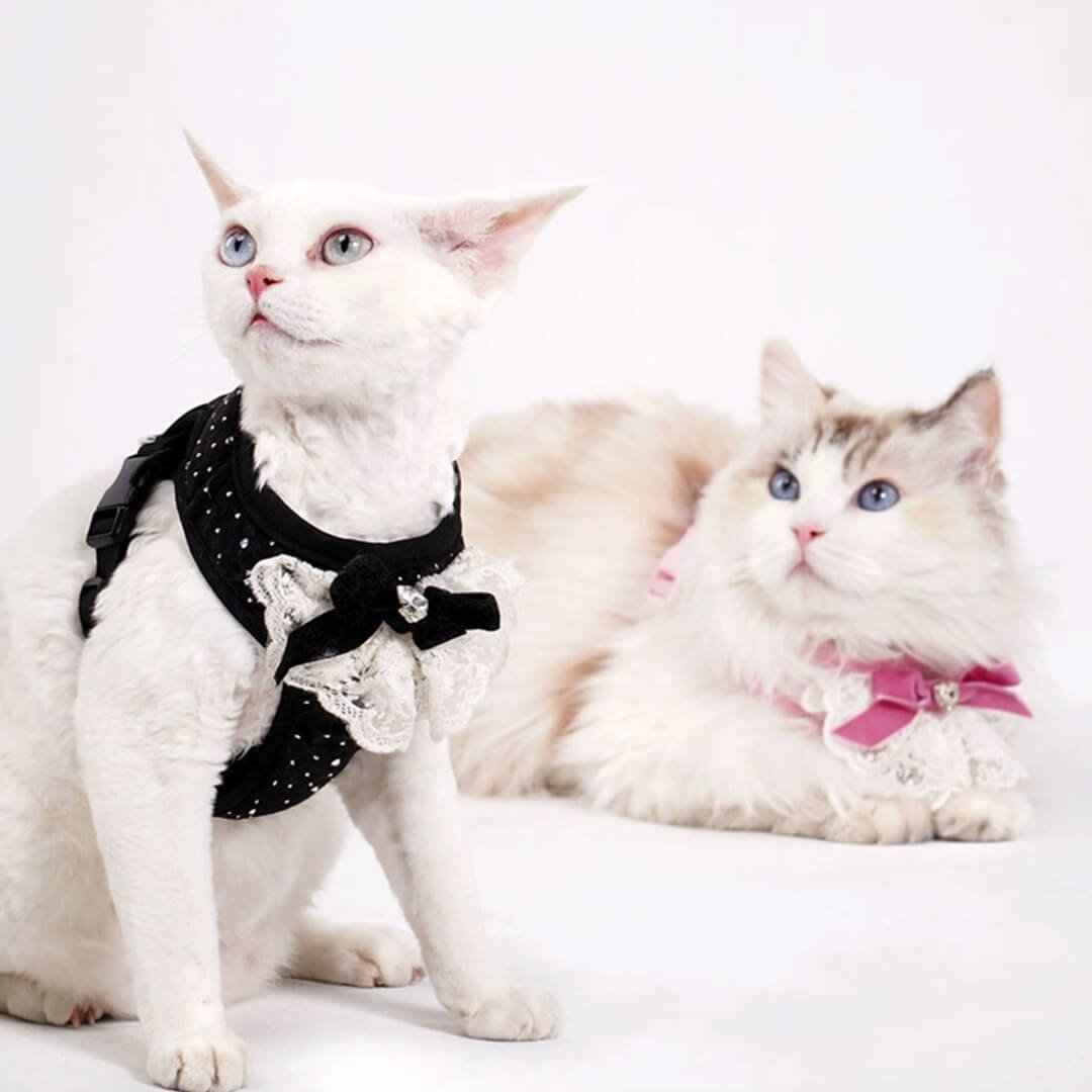 TouchDog Sparkle Cat Harness & Leash Set - Image 3