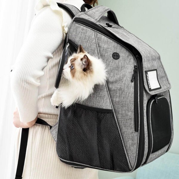 Urban Wanderer Cat Backpack - Image 6