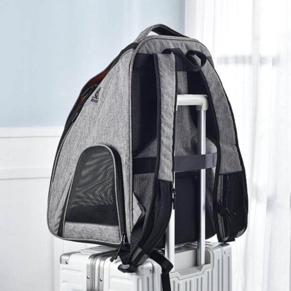 Urban Wanderer Cat Backpack - Image 7