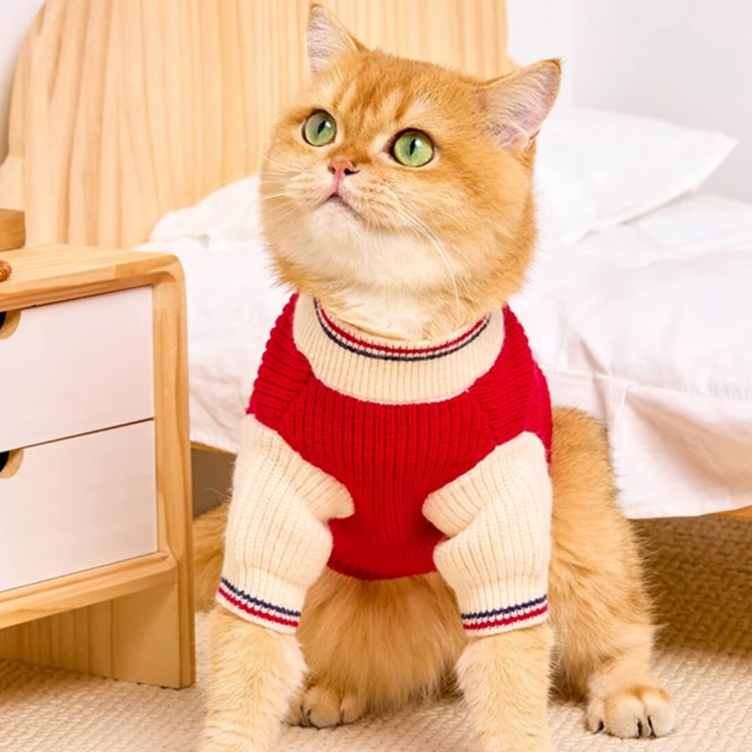 Winston Cat Sweater - Image 7
