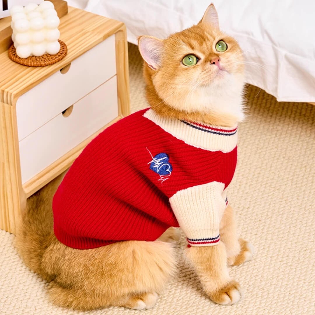 Winston Cat Sweater - Image 10