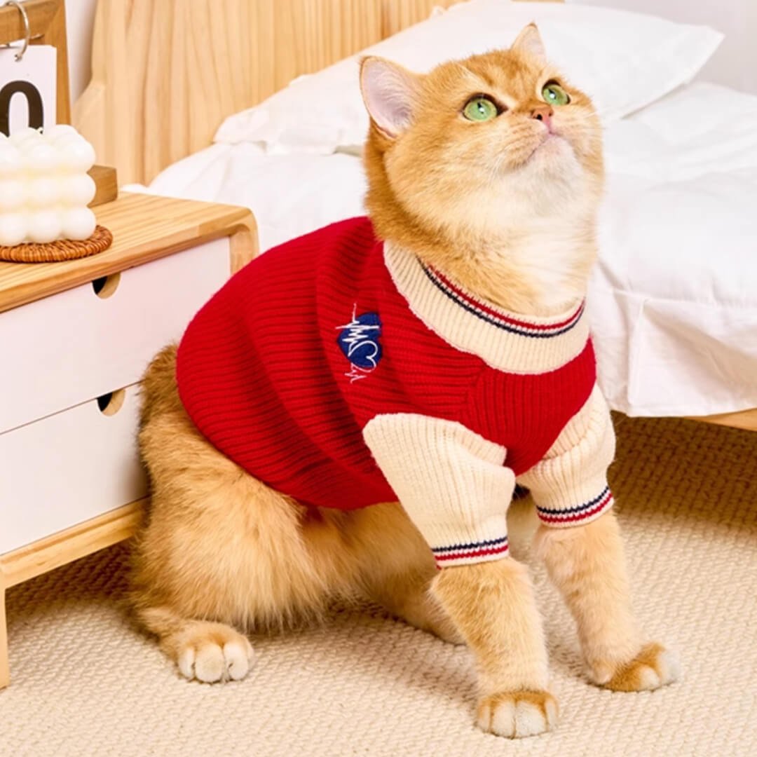 Winston Cat Sweater - Image 3