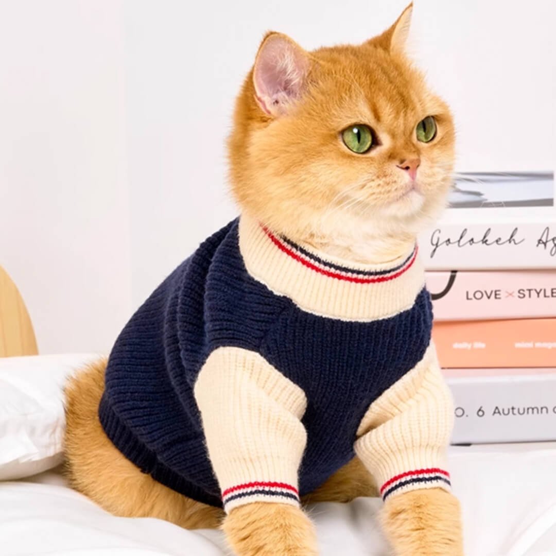 Winston Cat Sweater - Image 6