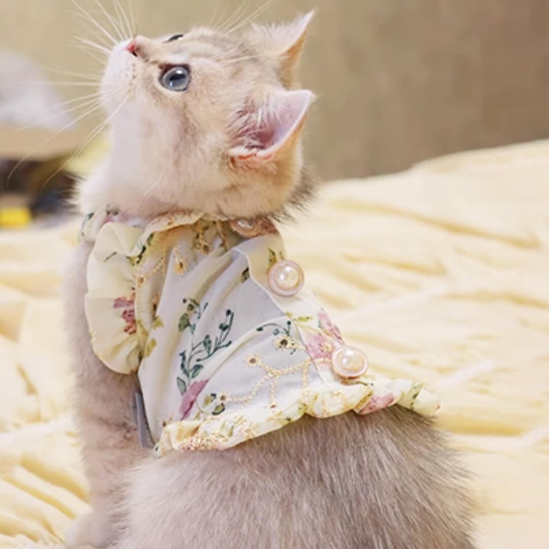 Flora Cat Dress - Image 3