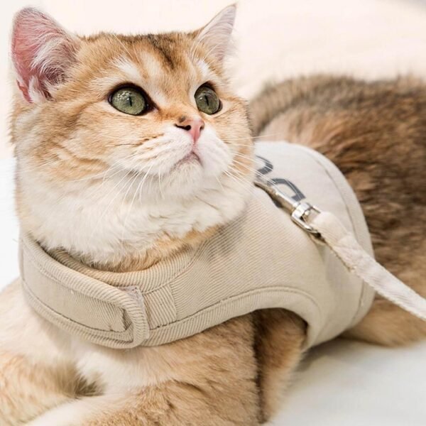 Loki Cat Harness & Leash Set - Image 5