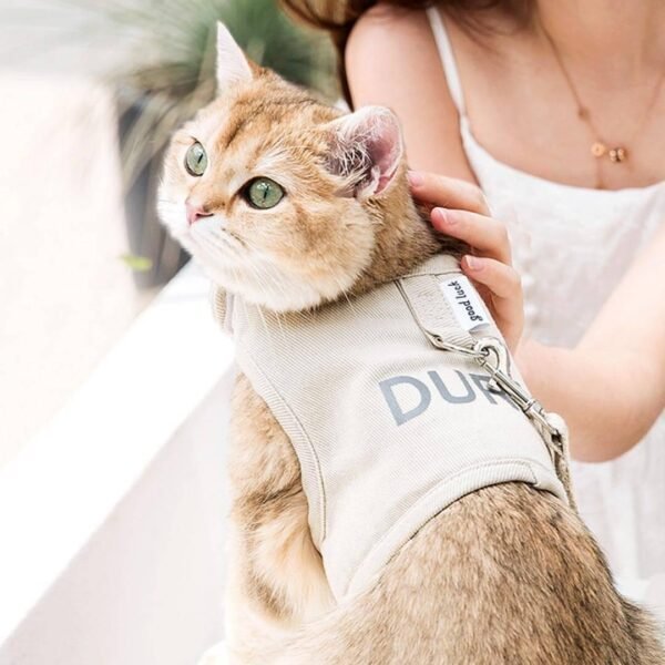 Loki Cat Harness & Leash Set - Image 6