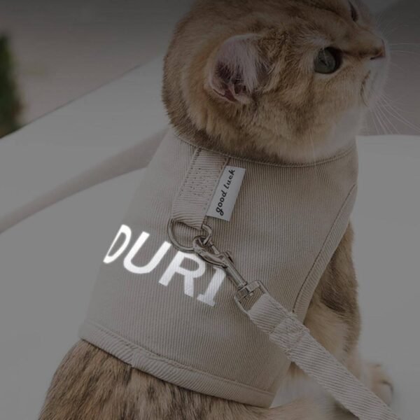 Loki Cat Harness & Leash Set - Image 8