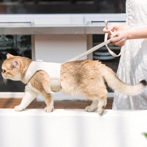 Loki Cat Harness & Leash Set - Image 9