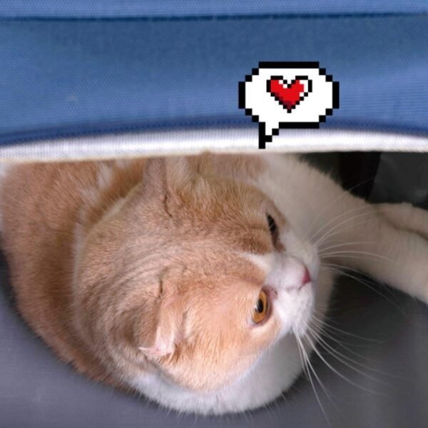 PurLab Gameboy Expandable Cat Backpack - Image 6