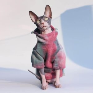 [Special Edition] Hypurr Tie Dye Cat Hoodie I