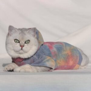 [Special Edition] Hypurr Tie Dye Cat Hoodie II