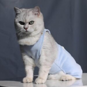 [Special Edition] Neko Cat Dungarees